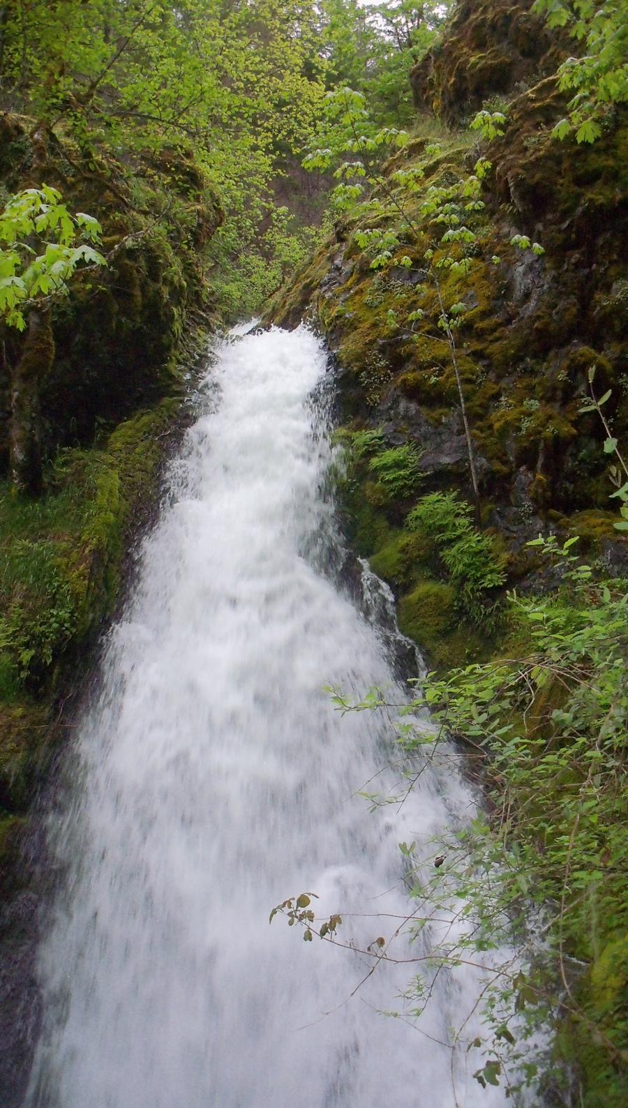 Falls Creek, N. Umpqua, Oregon